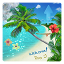 icon_beach_pro