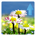 icon_springflowers_pro
