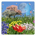 icon_springflowers_pro